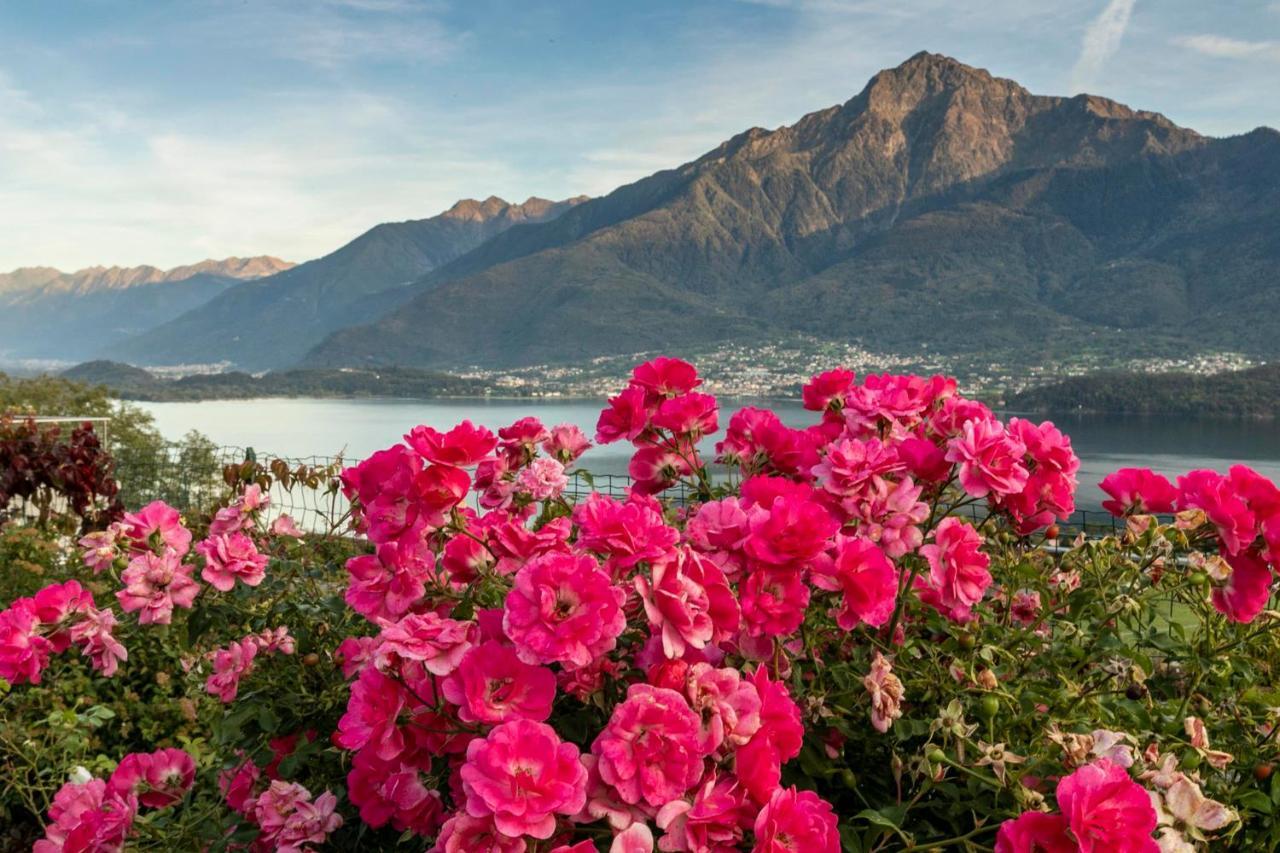 La Collina Dei Fiori Apartman Vercana Kültér fotó